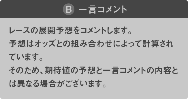 一言コメント説明