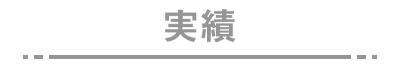 実績